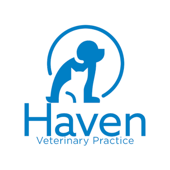 havenvets.png